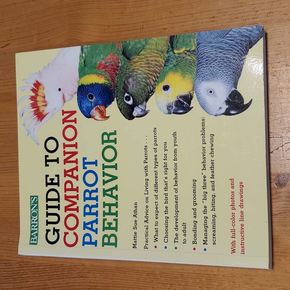 Guide To Companion Parrot Behavior